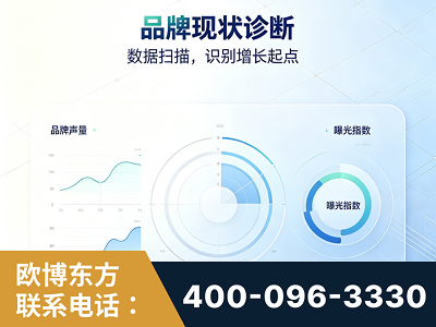 廊坊-品牌现状诊断